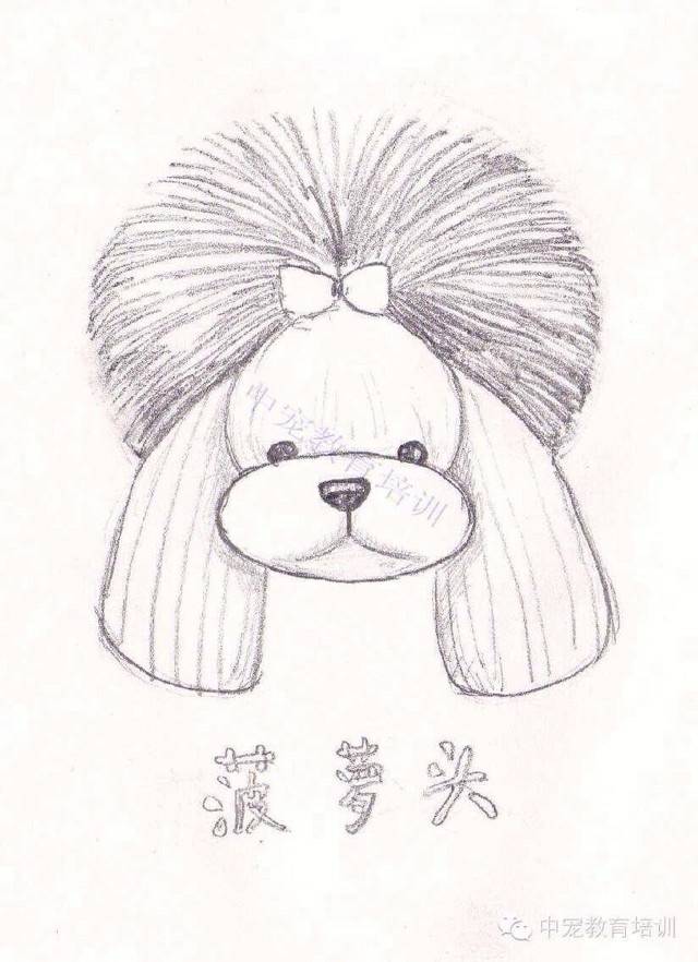 北京中宠教育培训厦门直属分校 联系电话:0592-6513098 手机:17750619801 15280258397 QQ/微信:492307950 地址:厦门市集美区乐海路58号(大唐世家别墅区内)